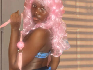 teaser web cam BerriSpak