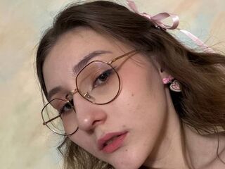 live teaser webcam IngeFelde