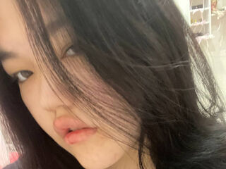 webcam live VeneraMai